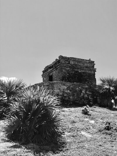 Imagenes de distintas ocasiones a blanco y negro