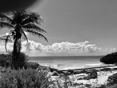 Imagenes de distintas ocasiones a blanco y negro