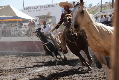 Imagenes sobre charreria