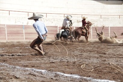Imagenes sobre charreria
