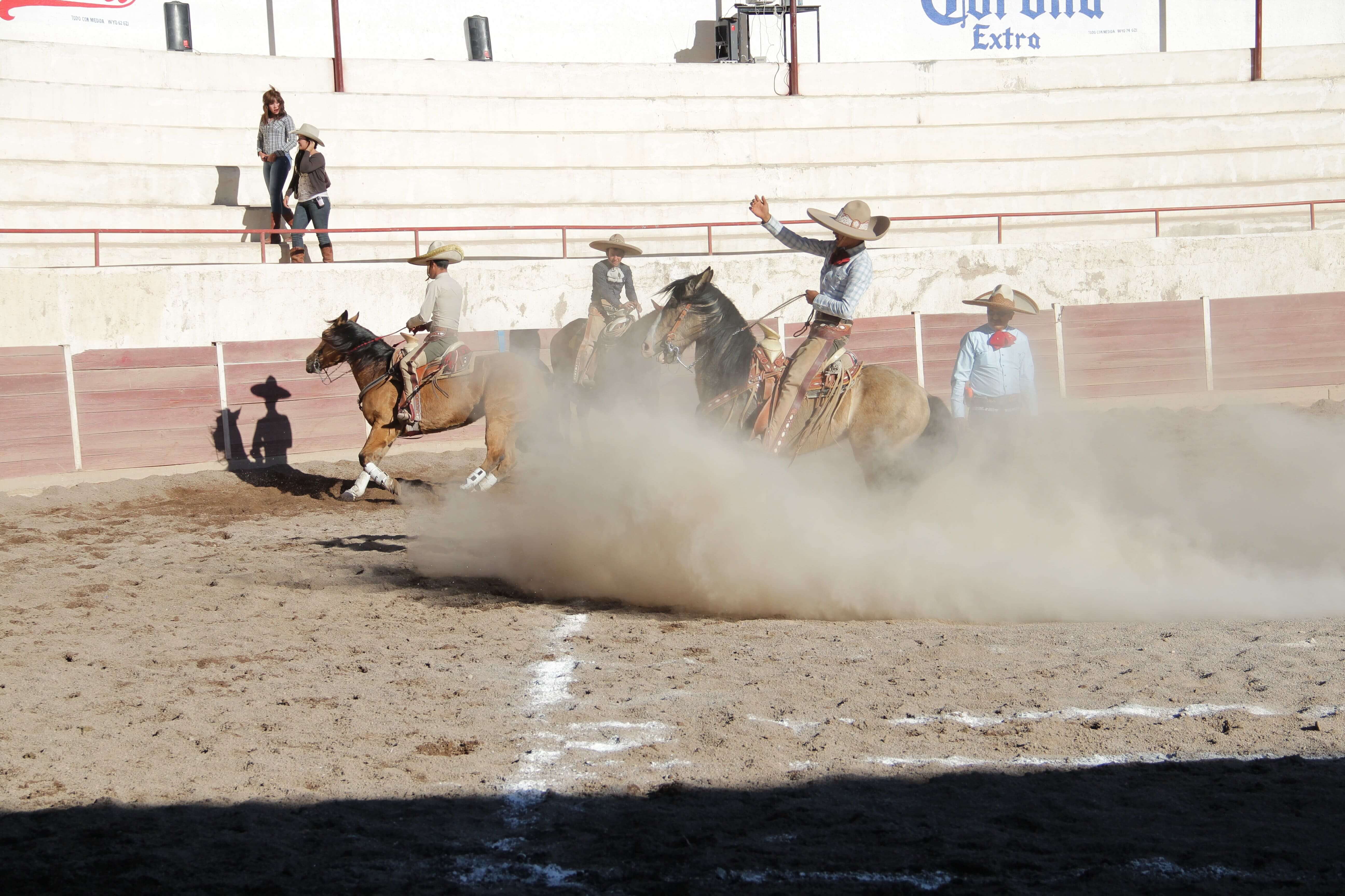 Imagenes sobre charreria